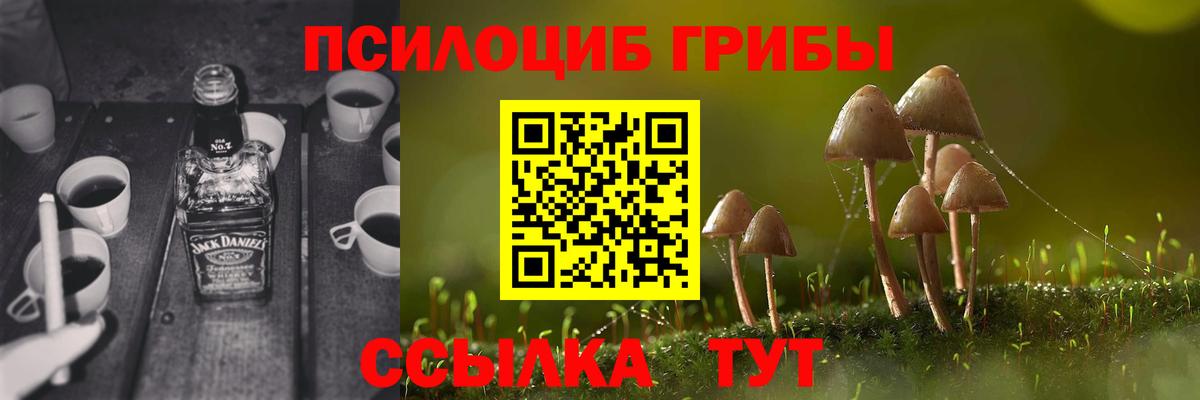 Галлюциногенные грибы Cubensis  Вход с VPN  Учалы 